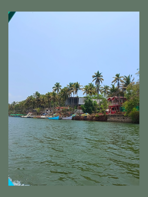 5 Surprising Facts About Goa That'll Blow Your Mind